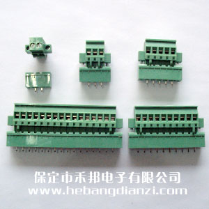 立式(shì)插拔(bá)带固定孔侧接-2P,3P,4P,5P,6P,8P,9P,10P,12P,14P,15P,16P,24P